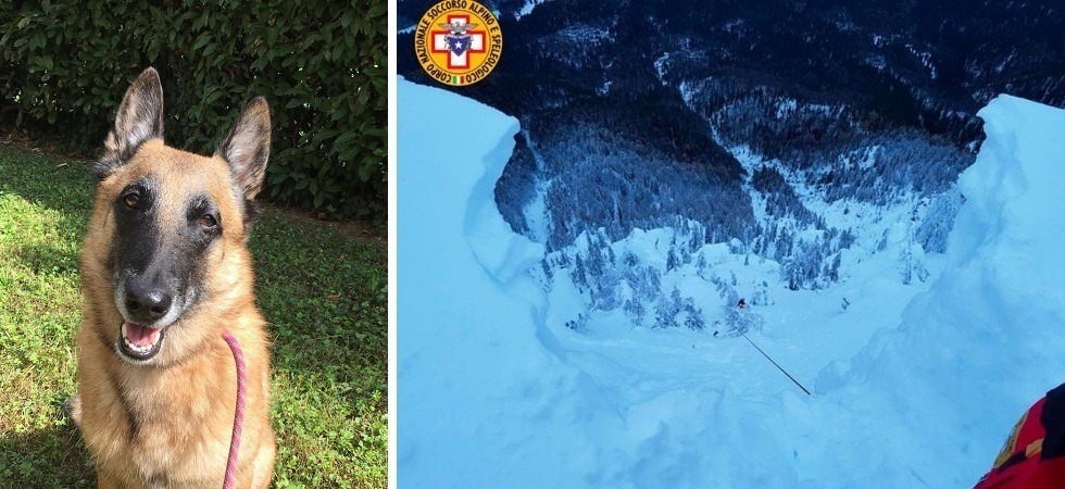 La cagnolona si sporge e la neve cede sotto le sue zampe